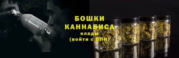 крисы Заводоуковск
