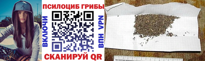 Псилоцибиновые грибы Magic Shrooms Сафоново
